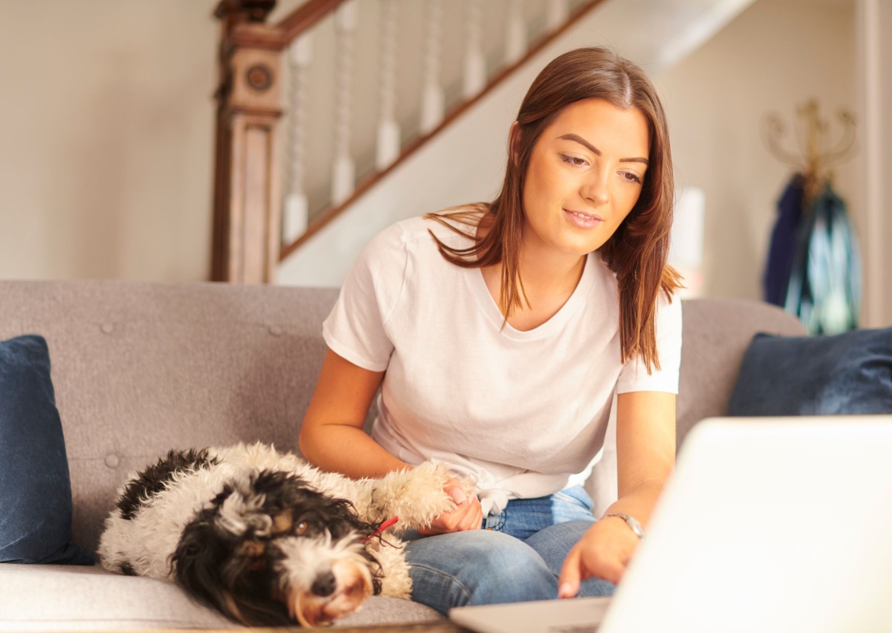 Dog with female owner who is on computer