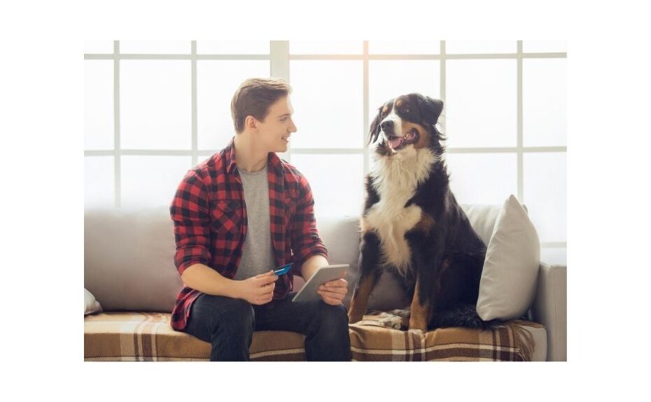 dog on couch with male owner