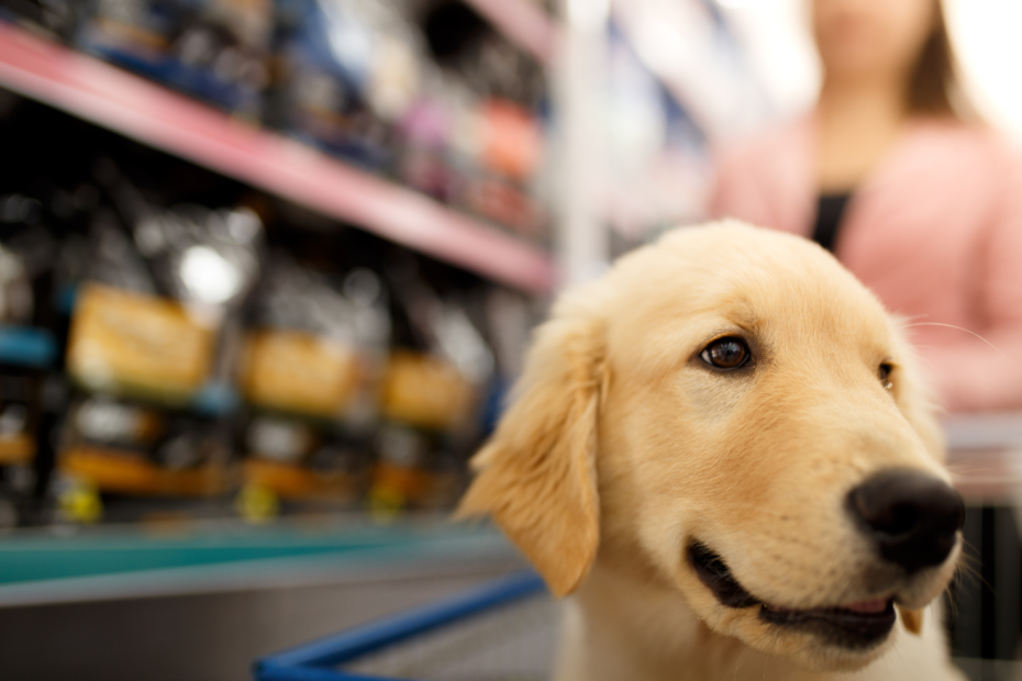 A dog in a cart with its owner shopping for pet products