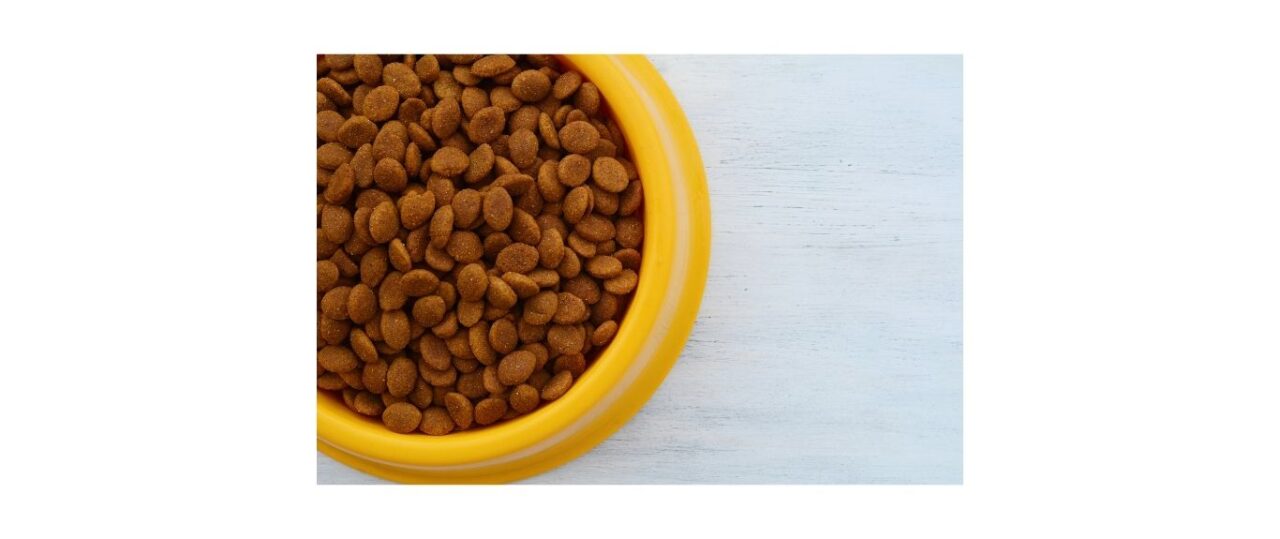 dog food kibble in yellow dog bowl