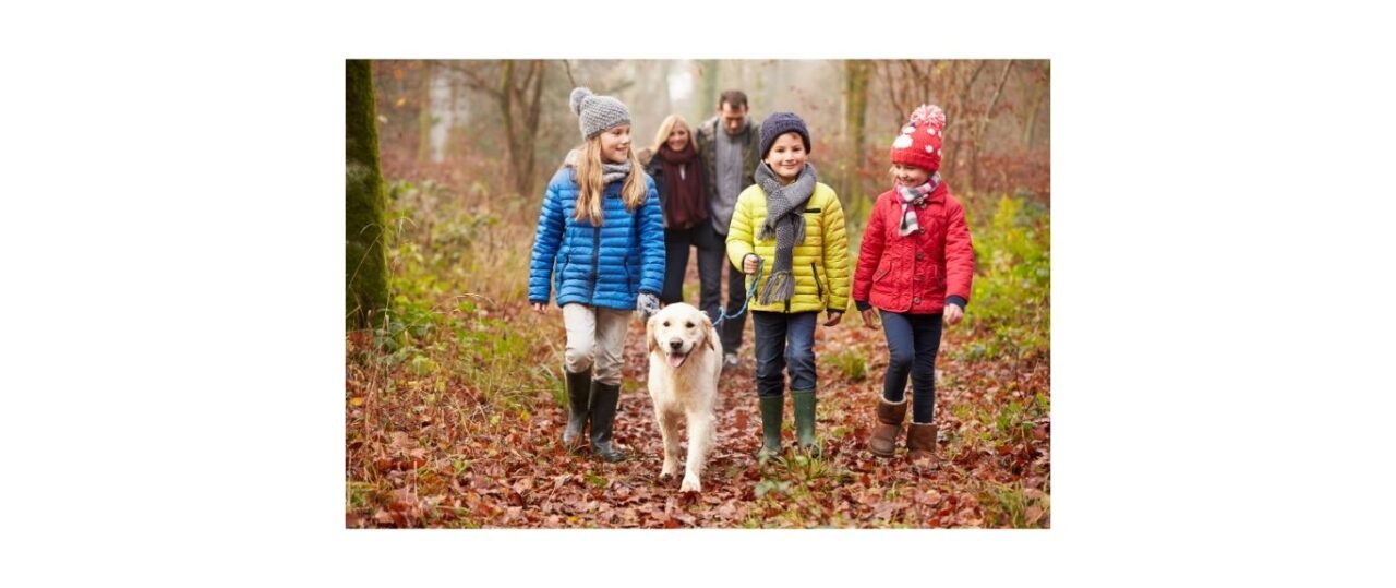 Children walking with parents and labrador dog after thinking am I ready for a dog